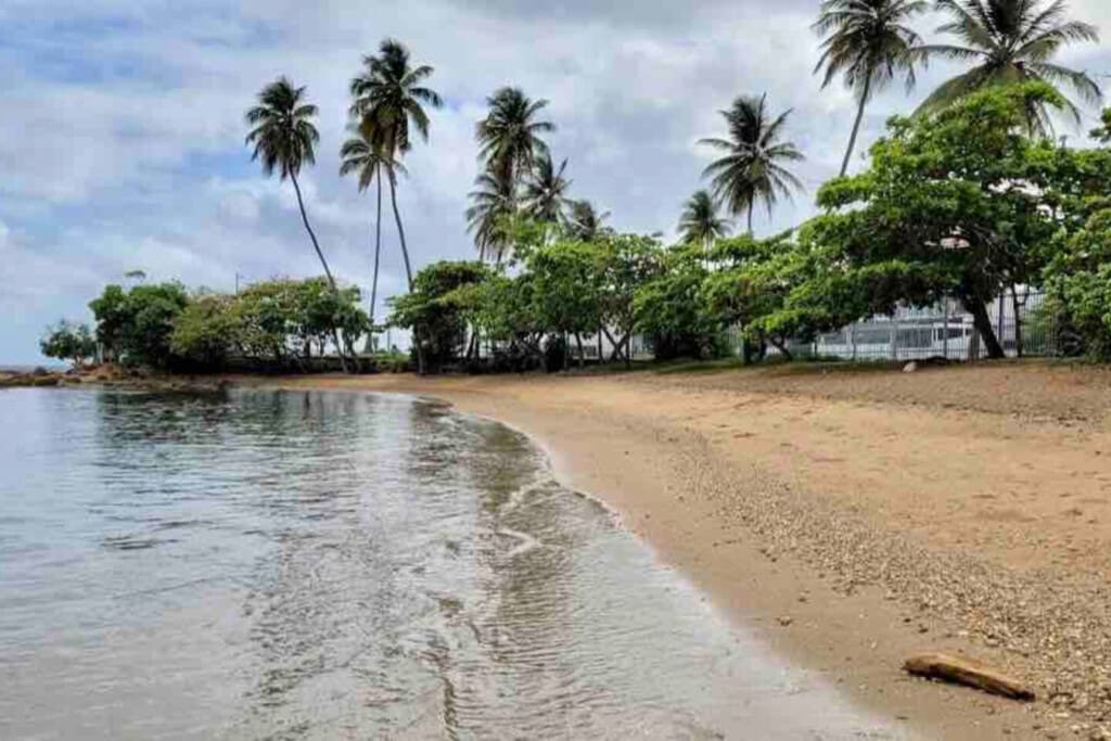 186853 490799 D1l3nFWzIj8TJz0prIcfM4dvxYJeoOsujBHuwZsQ4C4 699cb8d823f35.jpg